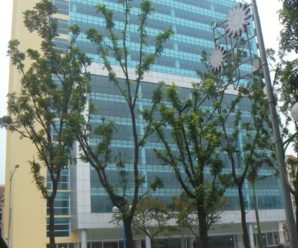 Tòa nhà văn phòng An Phú 24 Hoàng Quốc Việt, Quận Cầu Giấy cho thuê giá tốt