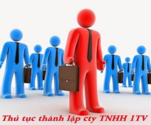 Thủ tục thành lập Công ty TNHH một thành viên