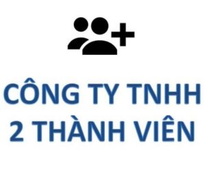 Ưu điểm và nhược điểm của công ty TNHH 2 thành viên trở lên