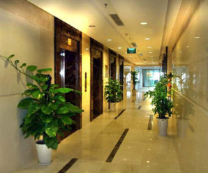 Top 3 toà nhà cho thuê văn phòng ảo tại quận Đống Đa, Hà Nội tốt nhất