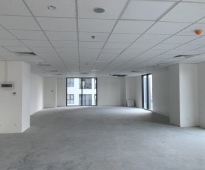 Cho thuê tòa nhà mới hoàn thiện mặt Duy Tân từ 38m2 – 2000m2
